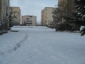 Sétif sous la neige, février 2013
