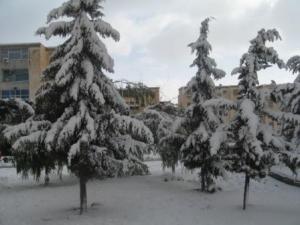 Sétif sous la neige, février 2013