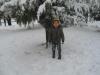 Sétif sous la neige, février 2013