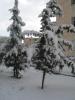Sétif sous la neige, février 2013