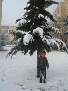 Sétif sous la neige, février 2013