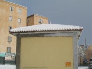 Sétif sous la neige, février 2013