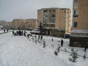 Sétif sous la neige, février 2013