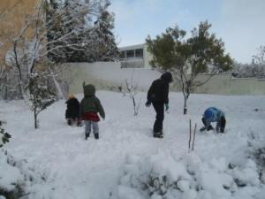 Sétif sous la neige, février 2013