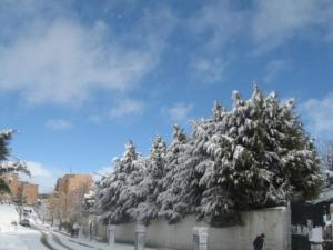 Sétif sous la neige, février 2013