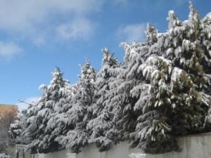 Sétif sous la neige, février 2013