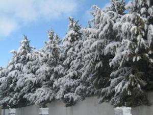 Sétif sous la neige, février 2013