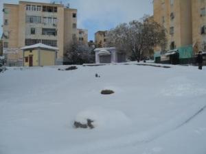 Sétif sous la neige, février 2013