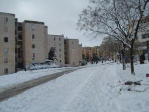 Sétif sous la neige, février 2013