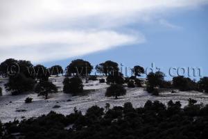 Neige à Ain Ghoraba, commune montagneuse, très belle mais isolée de tout ...