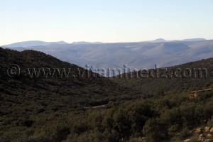 Montagnes de Ain Ghoraba, commune très belle mais isolée de tout ...