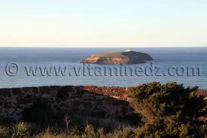 Ancien Fort el Belensi en ruines, sur les hauteurs de Rachgoun