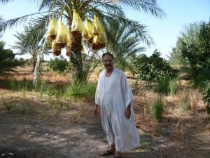 Biskra -  Inquiétudes des agriculteurs de Lichana