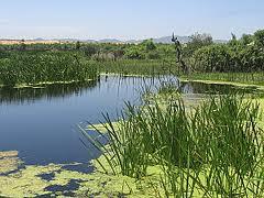 Skikda - Quatre (4) brigades pour protéger Guerbès-Sanhadja