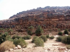 Moghrar El Foukani, (Wilaya de Naama) halte de repos sur la route du Sud