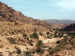 Gtob El Moghrar (Rochers) , longeant Oued Mograr