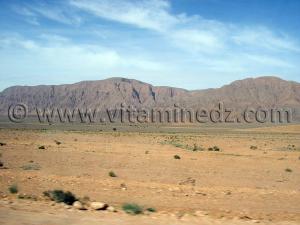 Djbel El Kohil ? Beni Ounif (Wilaya de Bechar)