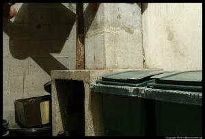 Batna -  Des restes humains dans une poubelle