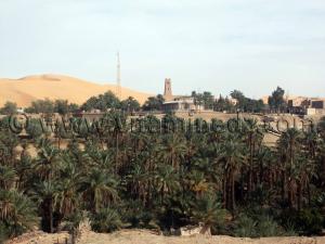 Photos Hotel Taghit, ses ksours, ses marabouts, sa palmeraie ... Novembre 2006