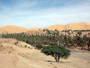 Photo de Taghit, ses ksours, ses marabouts, sa palmeraie ... Novembre 2006