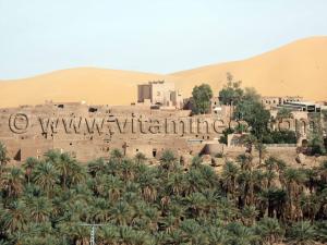 Photos Taghit, ses ksours, ses marabouts, sa palmeraie ... Novembre 2006