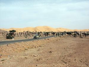 Photos Taghit, ses ksours, ses marabouts, sa palmeraie ... Novembre 2006