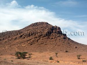 Photos Taghit, ses ksours, ses marabouts, sa palmeraie ... Novembre 2006
