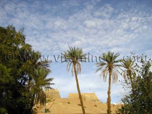 ksar très bien fortifié au sein de la palmeraie de Beni Abbes (Wilaya de Bechar)