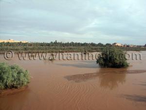 Photos de Beni Abbes (Wilaya de Bechar) avec la crue de Oued Saoura en Novemvre 2006