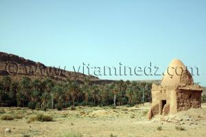 Darih de Sidi Daoud, à la sortie de Taghit près de la source.