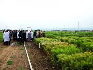 Algérie - Amélioration des rendements agricoles:  L’urgence d’adapter la formation aux nouvelles technologies