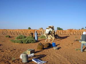 Preparatifs caravane à Ksar Guentoure, commune de Ouled Aissa, Daira de Timimoun, Wilaya d\'Adrar