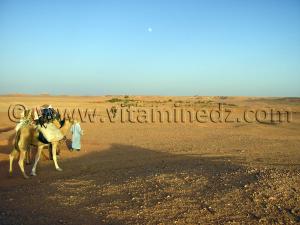 trek caravane sahara desert algerien à Ksar Guentoure, commune de Ouled Aissa, Daira de Timimoun, Wilaya d\'Adrar