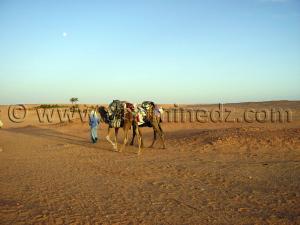Caravane sahara desert algerien à Ksar Guentoure, commune de Ouled Aissa, Daira de Timimoun, Wilaya d\'Adrar