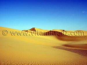 Photos Dunes sahara desert algerien  à Ksar Guentoure, commune de Ouled Aissa, Daira de Timimoun, Wilaya d\'Adrar