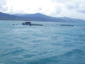 Secteur de la pêche dans la wilaya de Tizi Ouzou:  Pêcheurs et porteurs de projets interpellent le ministre