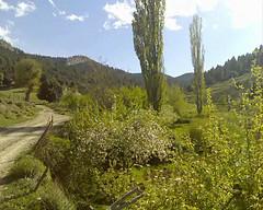 سيحة وتاريخ