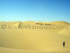 Trekking en Algérie. Découverte du Désert Algérien.