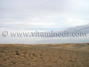 Dunes Près Ksar Guentoure, commune de Ouled Aissa, Daira de Timimoun, Wilaya d\'Adrar
