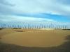 Dunes dorées à Ksar Guentoure, commune de Ouled Aissa, Daira de Timimoun, Wilaya d\'Adrar