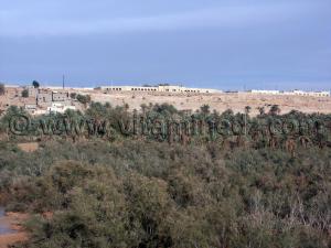 Palmeraie de Beni Abbes (Wilaya de Bechar)