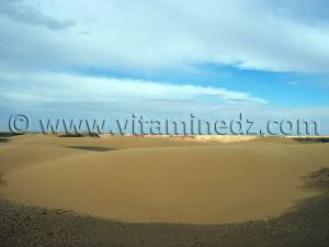 Dunes dorées à Ksar Guentoure, commune de Ouled Aissa, Daira de Timimoun, Wilaya d'Adrar