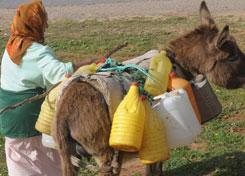 SKIKDA  -  La commission de wilaya pour la promotion de la femme rurale mise en place