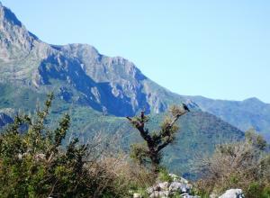 COMMUNE DE ZIAMA MANSOURIAH (JIJEL):  Les habitants de Aït Achour veulent retourner à leur douar