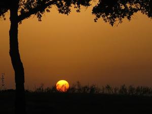 Complexe pétrochimique prévu à Guerbes Sanhadja:  Un drame écologique