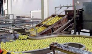 Mascara - La filière agroalimentaire en débat à l’université