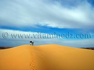 trek caravane sahara desert algerien à Ksar Guentoure, commune de Ouled Aissa, Daira de Timimoun, Wilaya d\'Adrar