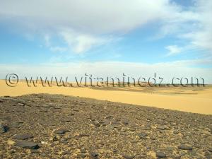 trek caravane sahara desert algerien  à Ksar Guentoure, commune de Ouled Aissa, Daira de Timimoun, Wilaya d\'Adrar