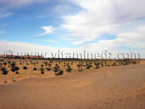 El Bor près de Ksar Guentoure, commune de Ouled Aissa, Daira de Timimoun, Wilaya d\'Adrar
