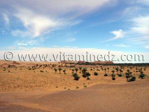 Ksar Guentoure, commune de Ouled Aissa, Daira de Timimoun, Wilaya d\'Adrar